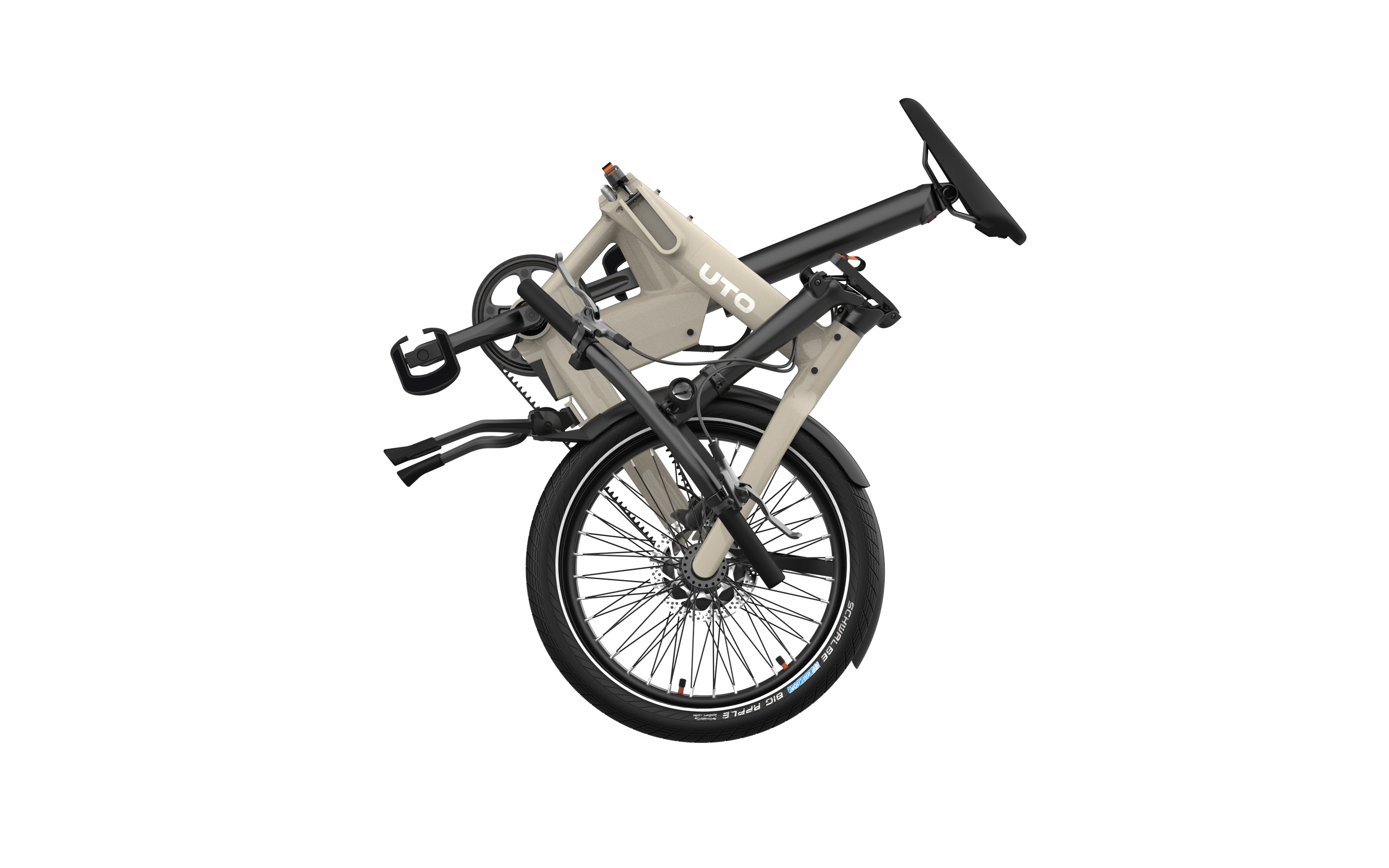taupe;topo;tortora